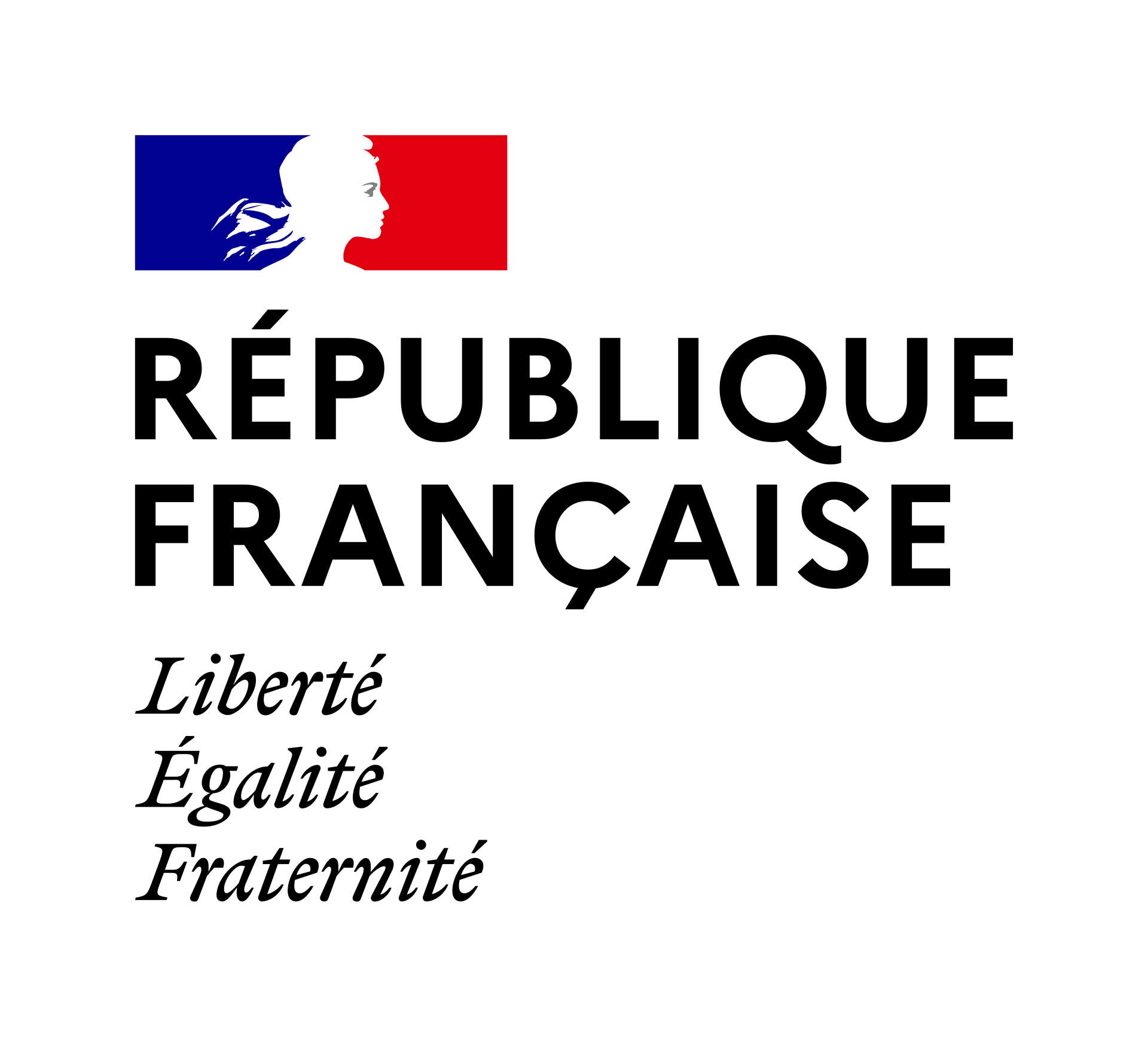 Logo SERM